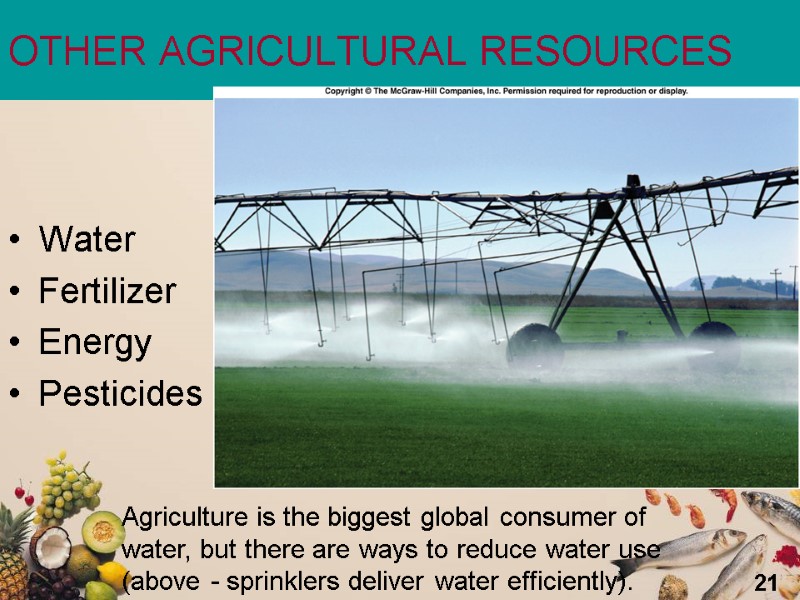 21 OTHER AGRICULTURAL RESOURCES Water Fertilizer Energy  Pesticides  Agriculture is the biggest